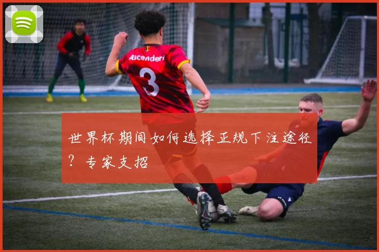 世界杯期间如何选择正规下注途径？专家支招