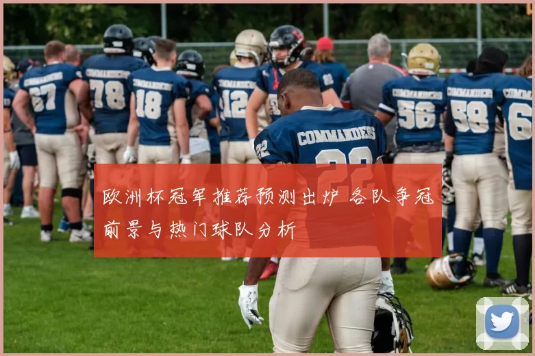 欧洲杯冠军推荐预测出炉 各队争冠前景与热门球队分析