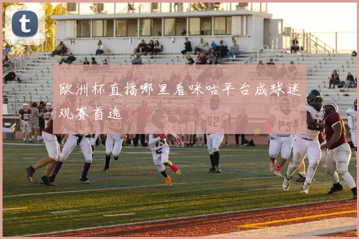 欧洲杯直播哪里看咪咕平台成球迷观赛首选