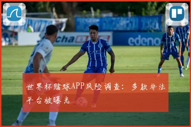 世界杯赌球APP风险调查：多款非法平台被曝光