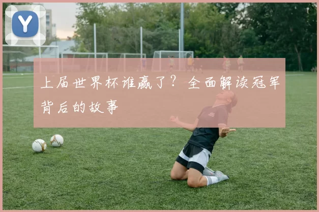 上届世界杯谁赢了？全面解读冠军背后的故事