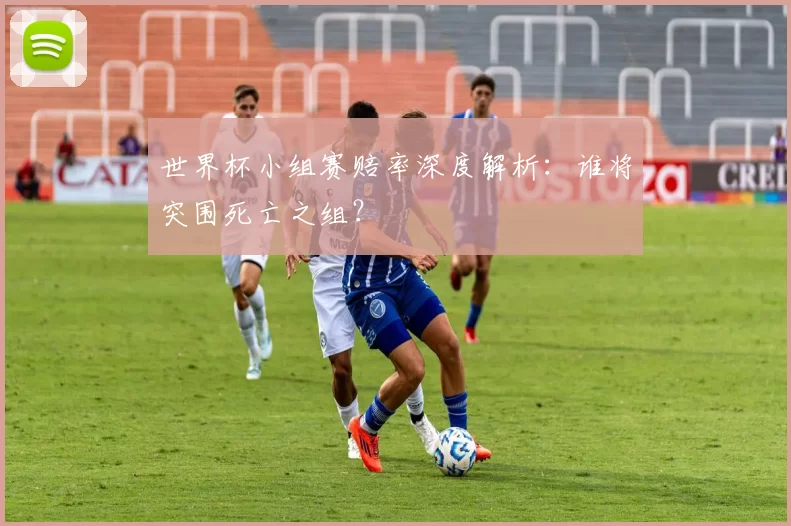 世界杯小组赛赔率深度解析：谁将突围死亡之组？