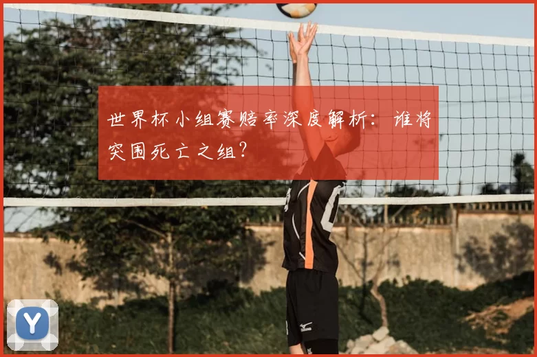 世界杯小组赛赔率深度解析：谁将突围死亡之组？