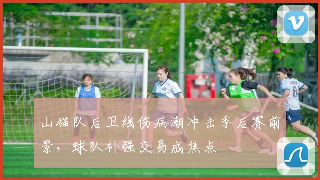 山猫队后卫线伤病潮冲击季后赛前景,球队补强交易成焦点
