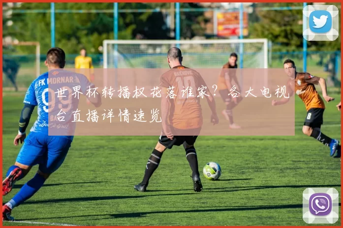世界杯转播权花落谁家？各大电视台直播详情速览