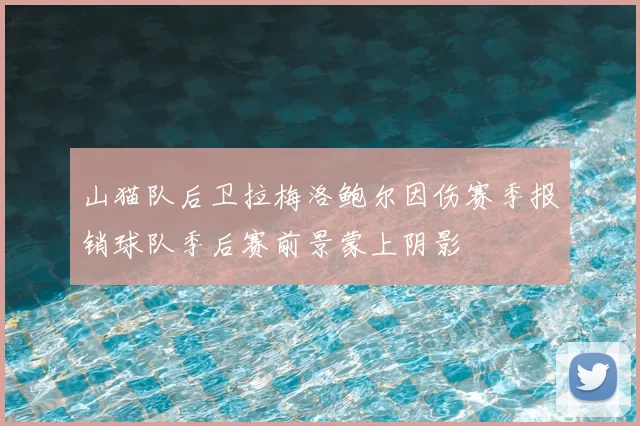 山猫队后卫拉梅洛鲍尔因伤赛季报销球队季后赛前景蒙上阴影