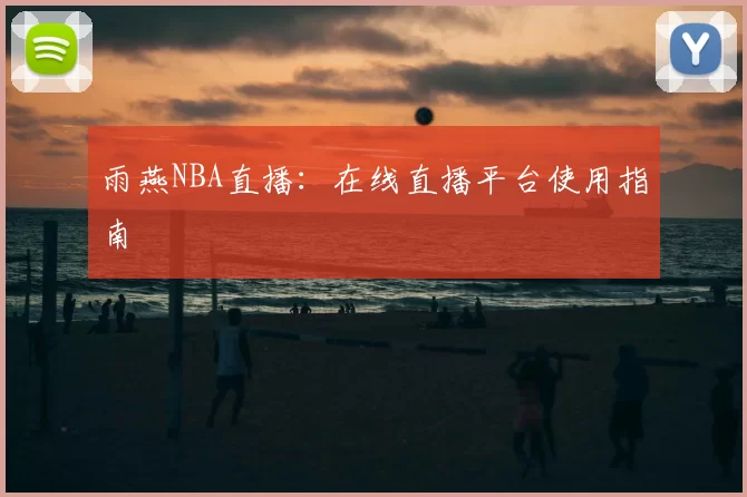 雨燕NBA直播:在线直播平台使用指南