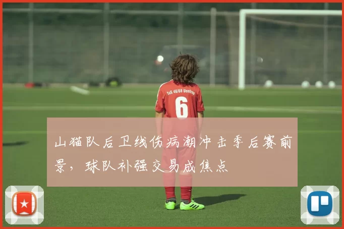 山猫队后卫线伤病潮冲击季后赛前景,球队补强交易成焦点
